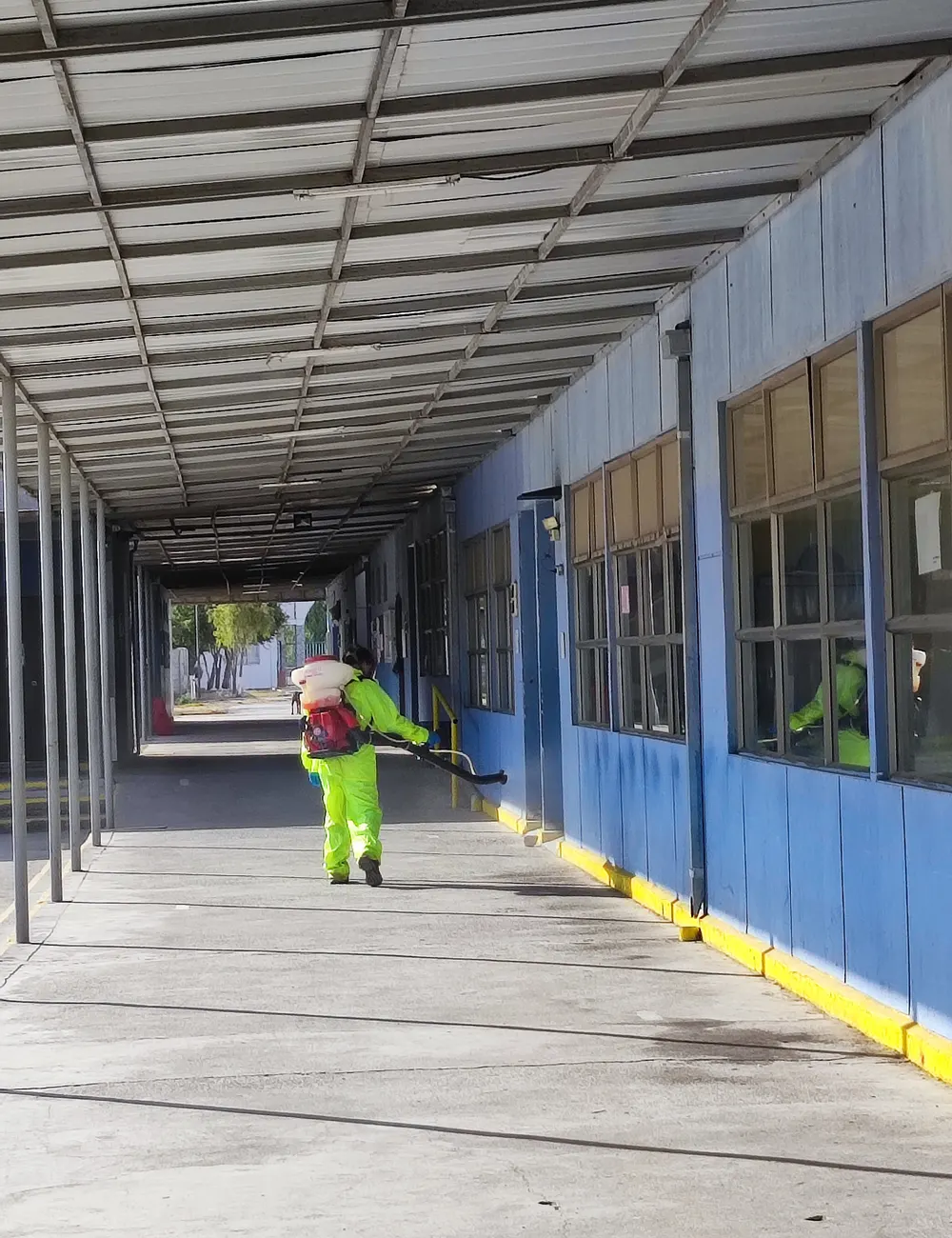 Desinsectación de casino escolar en Santiago