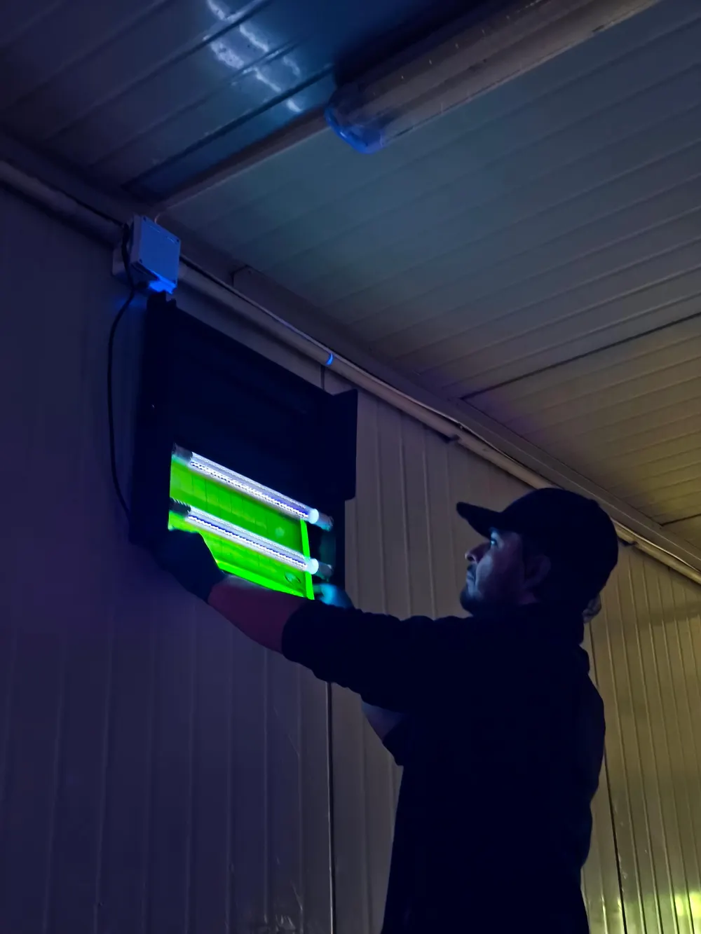Técnico revisando trampa de luz UV para insectos voladores