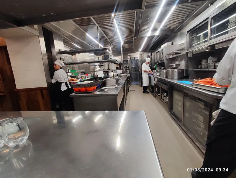 Control de plagas en cocina de restaurante en funcionamiento